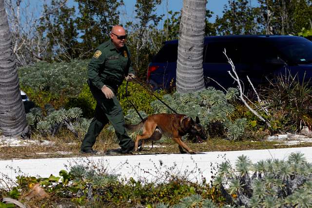 U.S. Customs and Border Protection, K9 Unit training in Florida, 2021.