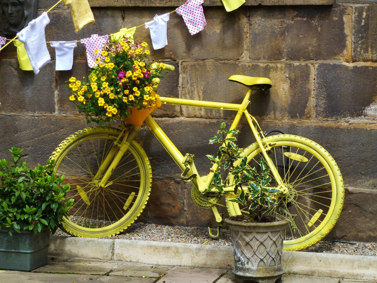 Painted yellow bikes lined the streets of Yorkshire, U.K.