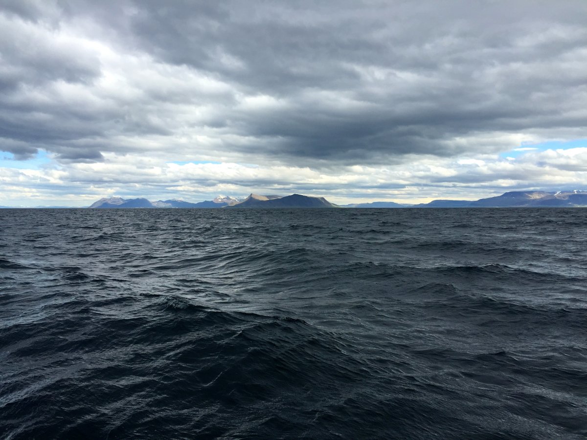 Iceland's Westfjords as seen from the sea.