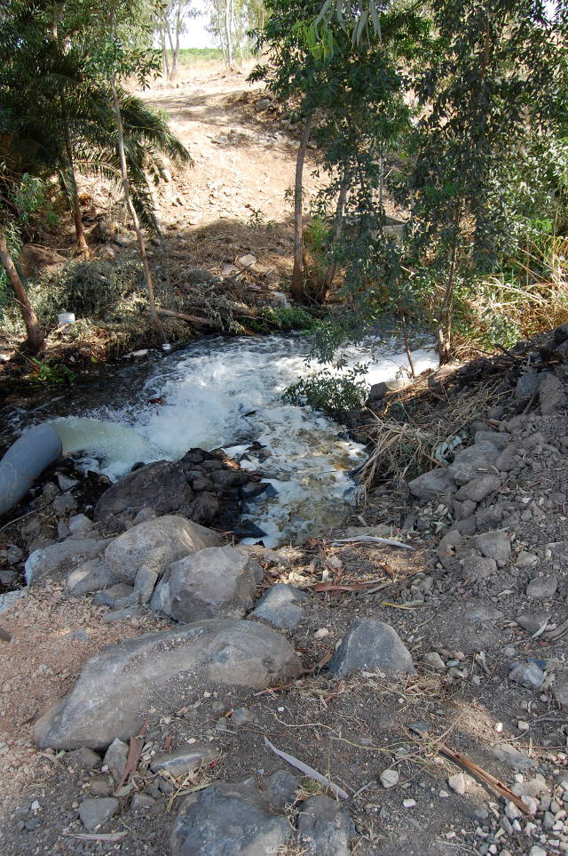 Raw sewage being released in the Lower Jordan River at the Alumot Dam, Israel