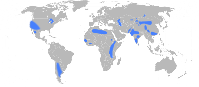 A 2009 map depicting areas with groundwater fluoride concentrations above the recommended levels