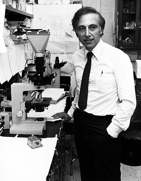 Robert Gallo in the Laboratory of Tumor Cell Biology at the National Institutes of Health.