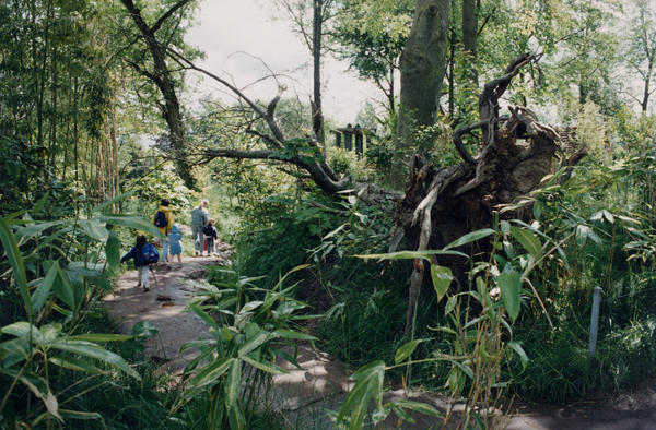 This visitors’ path is meant to recreate a jungle.