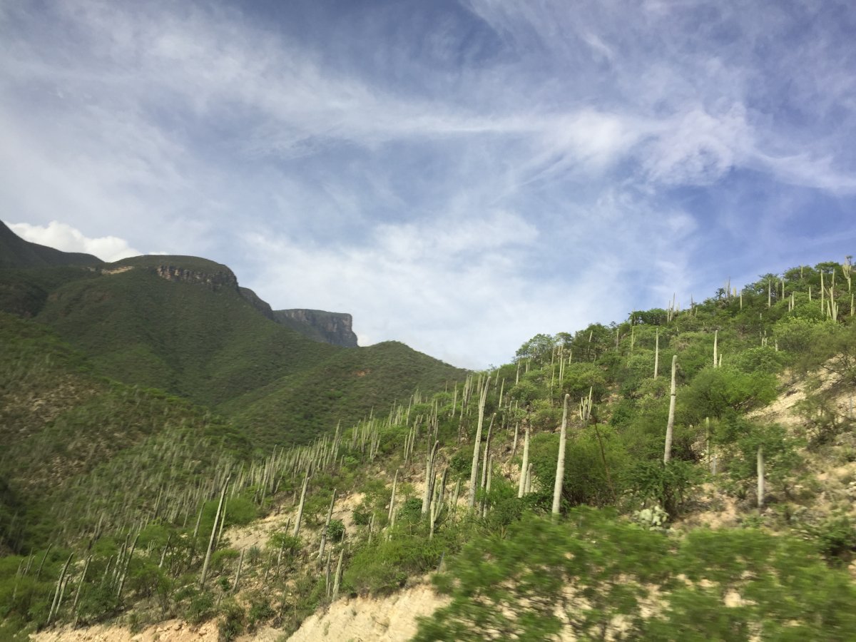 The Sierra Sur mountain range.