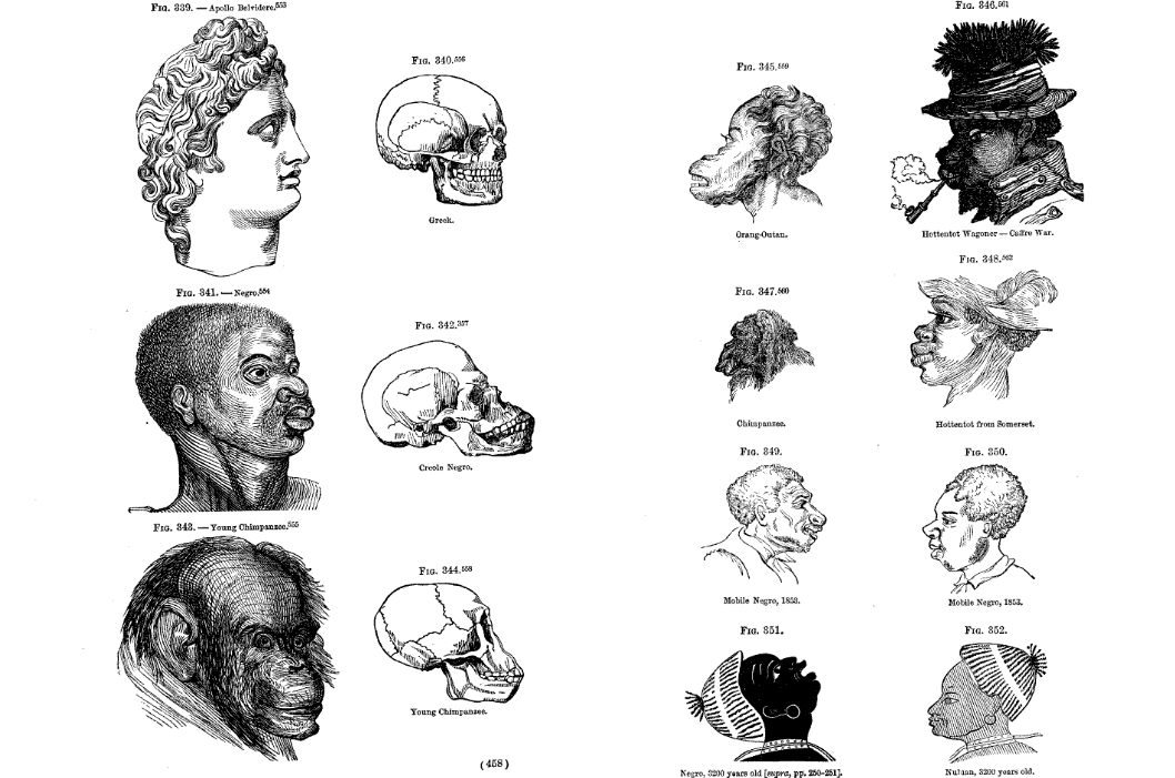 Illustrations from Josiah Clark Nott and George Robins Giddon's Indigenous Races of the Earth.