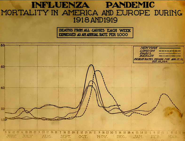 1918-1919 influenza mortality in the U.S. and Europe.