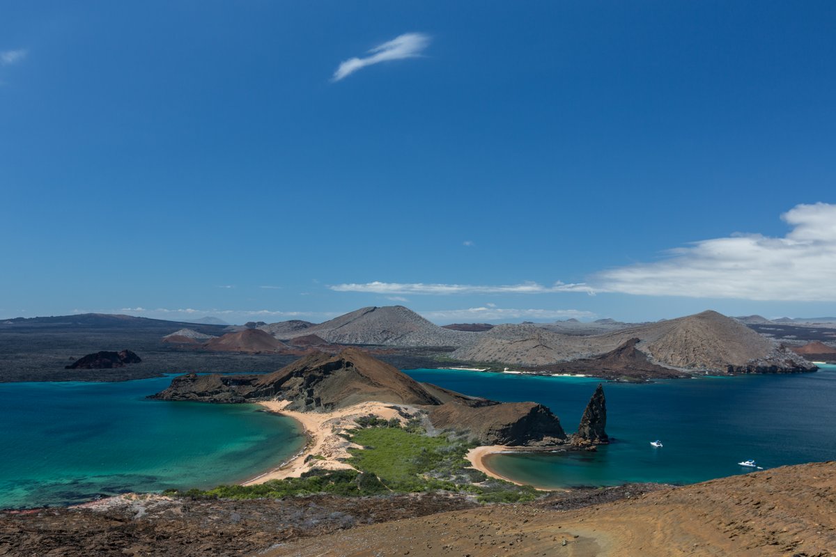 The Galapagos Islands.