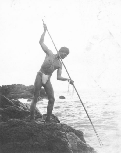 A Hawaiian man employing the spearfishing techniques described by Fagan.
