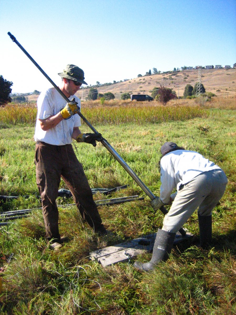 Frances Malamud-Roam and Anders Noren coring marsh sediments adjacent to San Francisco Bay.