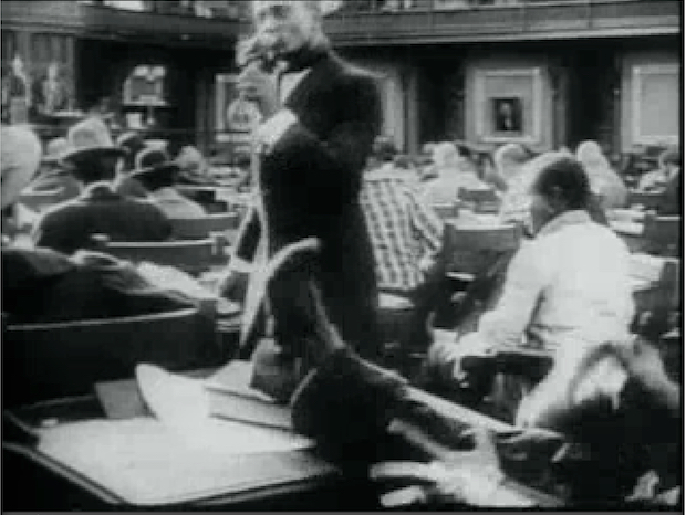 In the movie, black representatives in the South Carolina legislature are depicted cheering the passage of legislation that allows mixed-race marriage.