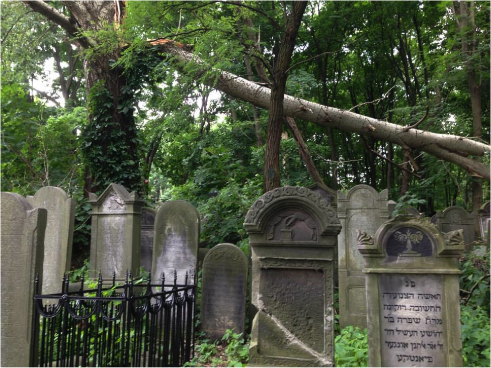 Jewish cemetery in Warsaw.