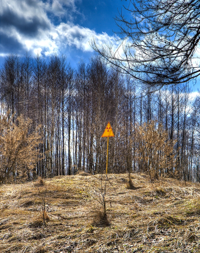 Radioactive warning sign in the 'Red Forest.'