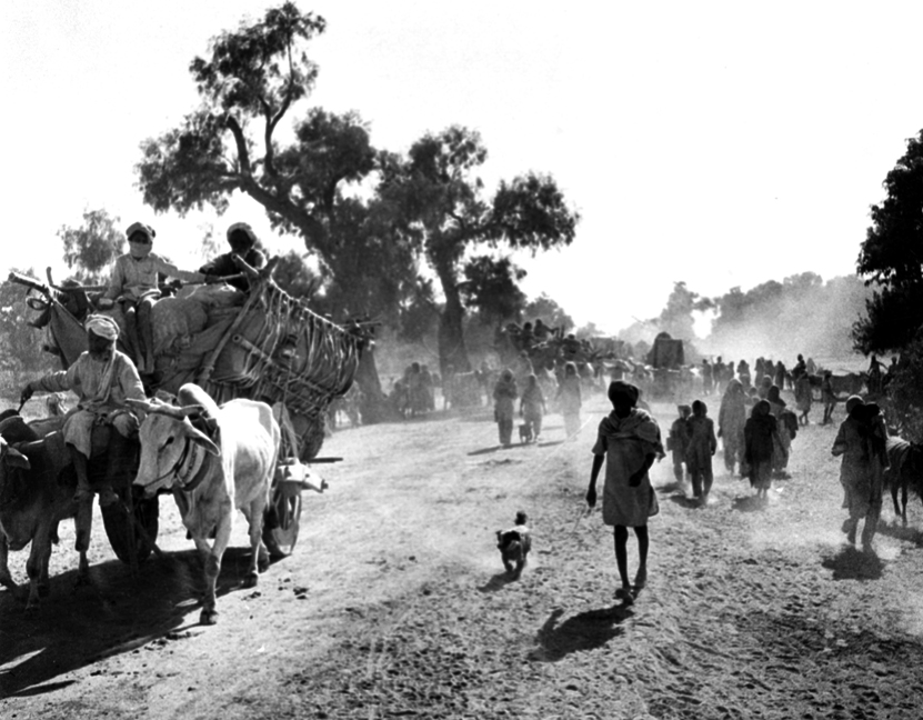 Many refugees fled for years after partition, such as this convoy at Balloki, Kasur in 1954.