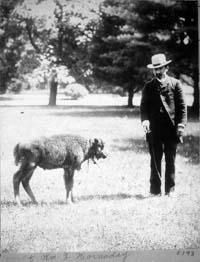 William Temple Hornaday with a bison.