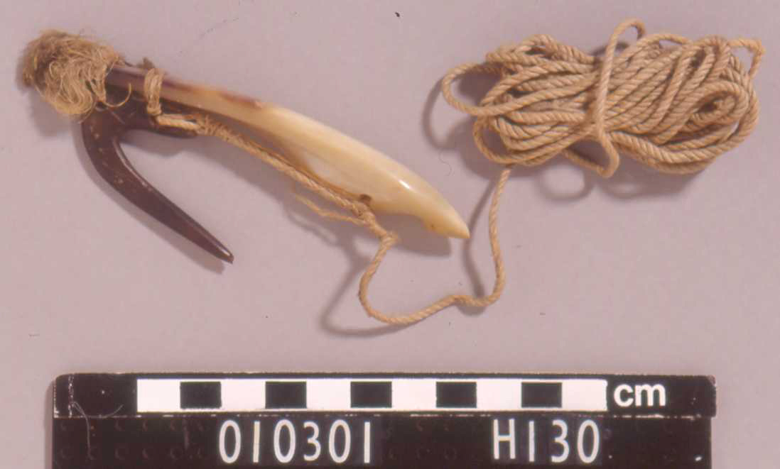 A Tahitian fishhook made from mother of pearl and turtle shell.