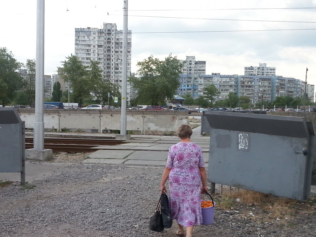 A woman on the outskirts of Kyiv carrying a bucket of apricots.