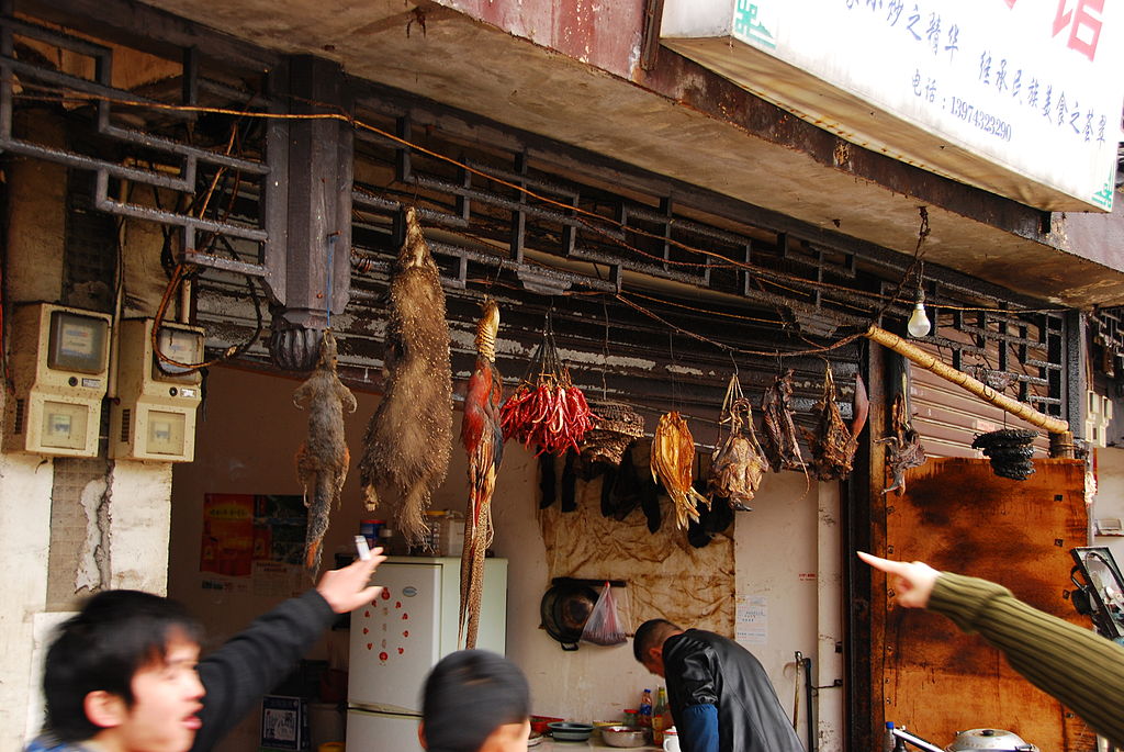 A wild game stall at a Chinese market, 2007.