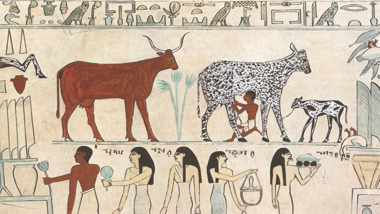An Egyptian hieroglyphic painting.