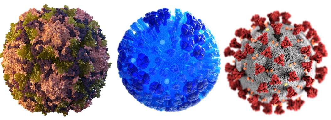 Three of our 'deadly companions.' Poliovirus (left), Influenza (center), and COVID-19 (right).