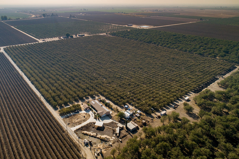 An aerial view of a pistachio farm in Chowchilla, CA.