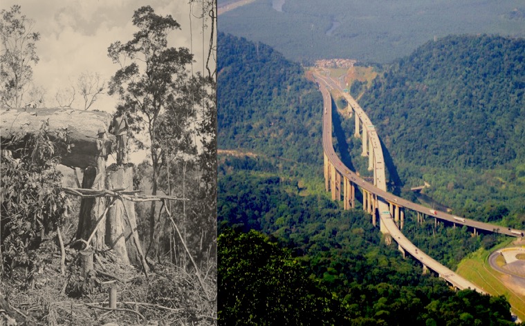 On the left, two axmen cutting timber in Fordlandia. On the right, the Immigrant Highway.