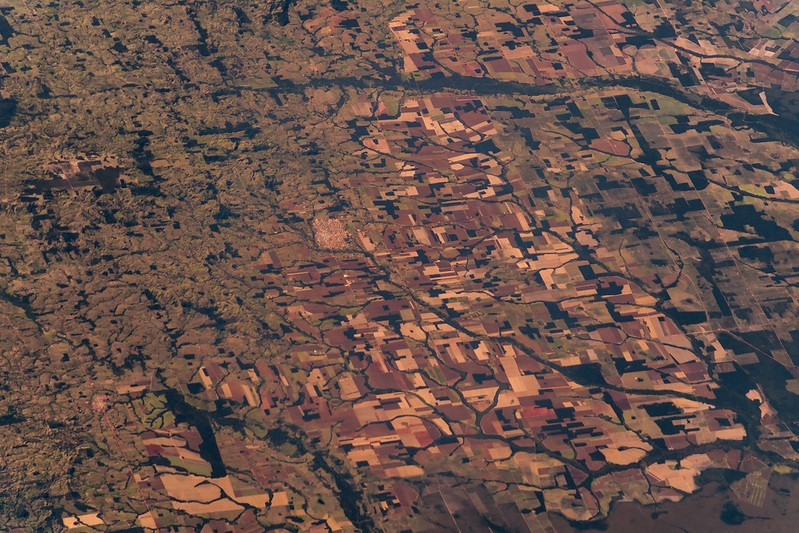 An aerial shot of the Amazon rainforest.