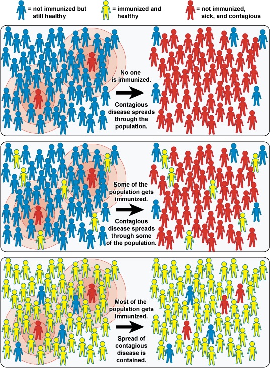 National Institute of Allergy and Infectious Diseases’ 2010 chart illustrates how vaccinations can prevent disease outbreaks.