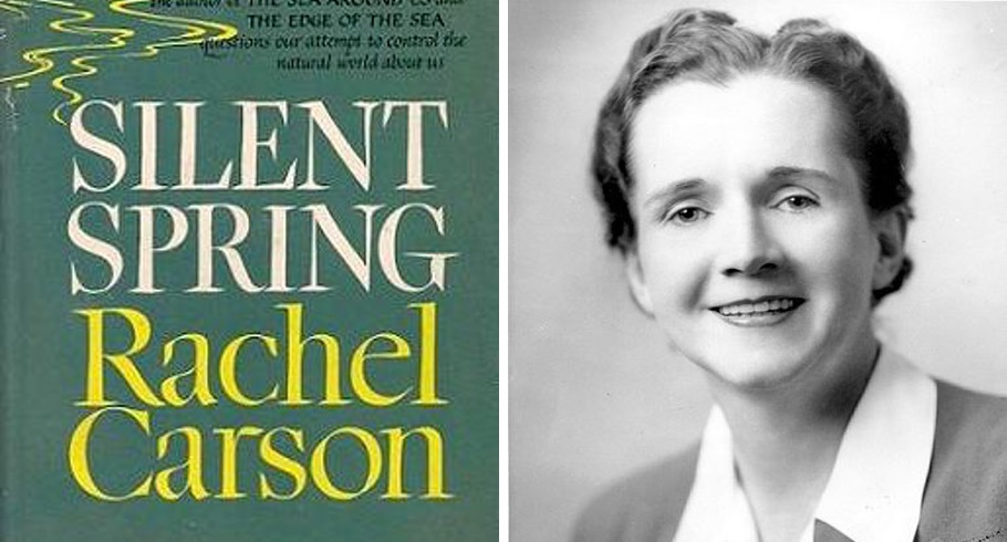 On the left, the cover of Silent Spring. On the right, Rachel Carson.