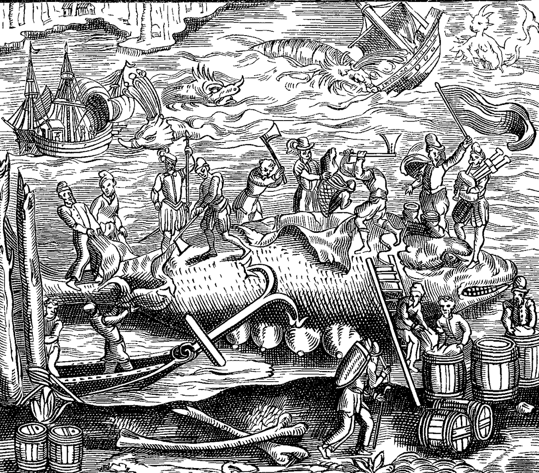 A woodcut depicting whale-fishing.