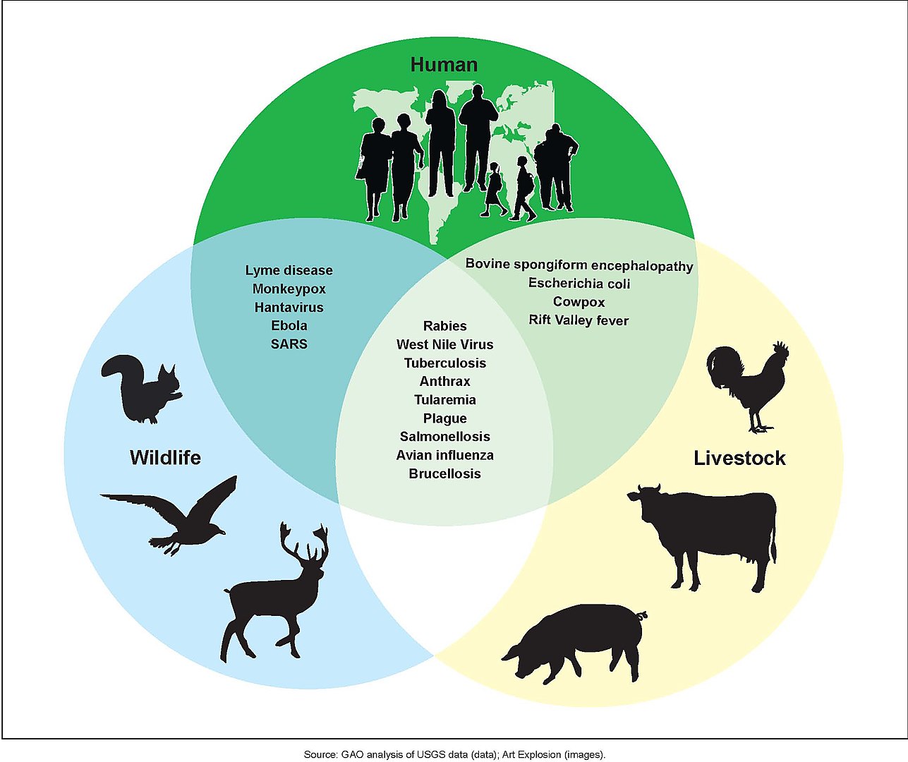 A graphic depicting examples of Zoonotic diseases and their affected populations