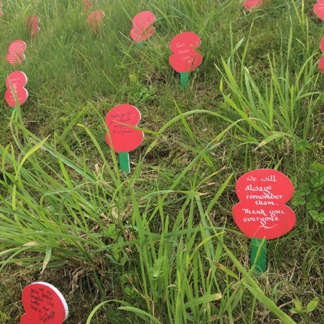 Cardboard poppies staked into the ground at the Thiepval memorial.