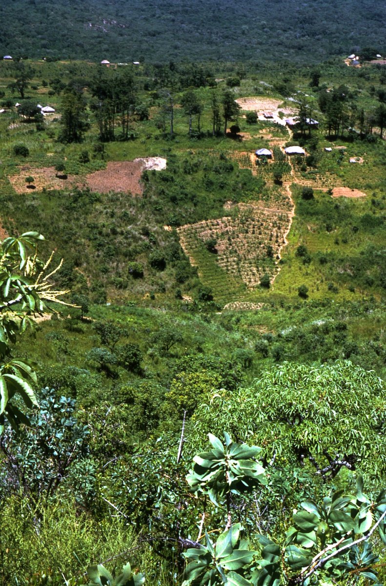 View downhill from the Livingstonia Plateau.