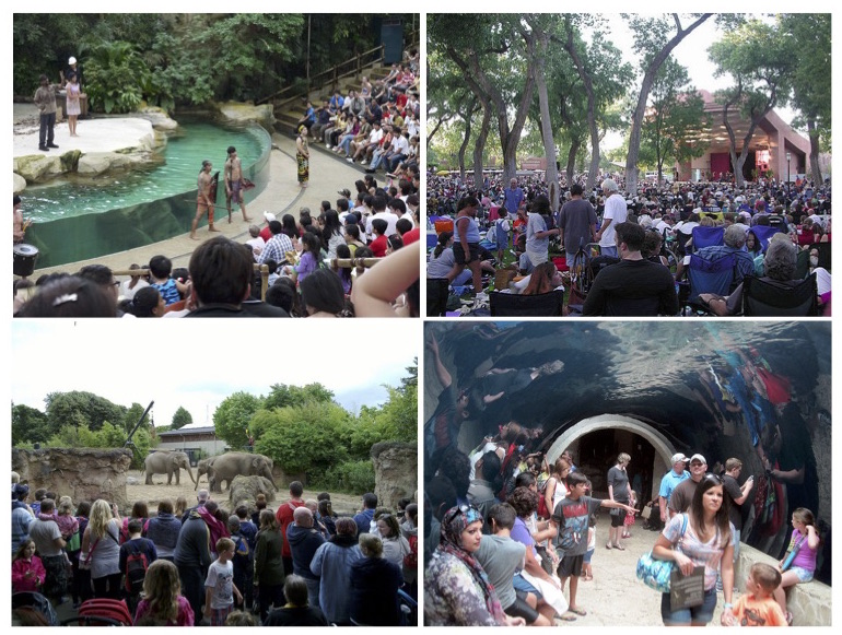 On the top left, crowds gather to watch an aquatic show at the Singapore Zoo. On the top right, thousands attend a music festival at the Albuquerque BioPark Zoo. On the bottom left,  onlookers watch the elephants at Dublin’s Zoo. On the bottom right, children and adults walk through the tunnels of the Dallas World Aquarium Zoo.