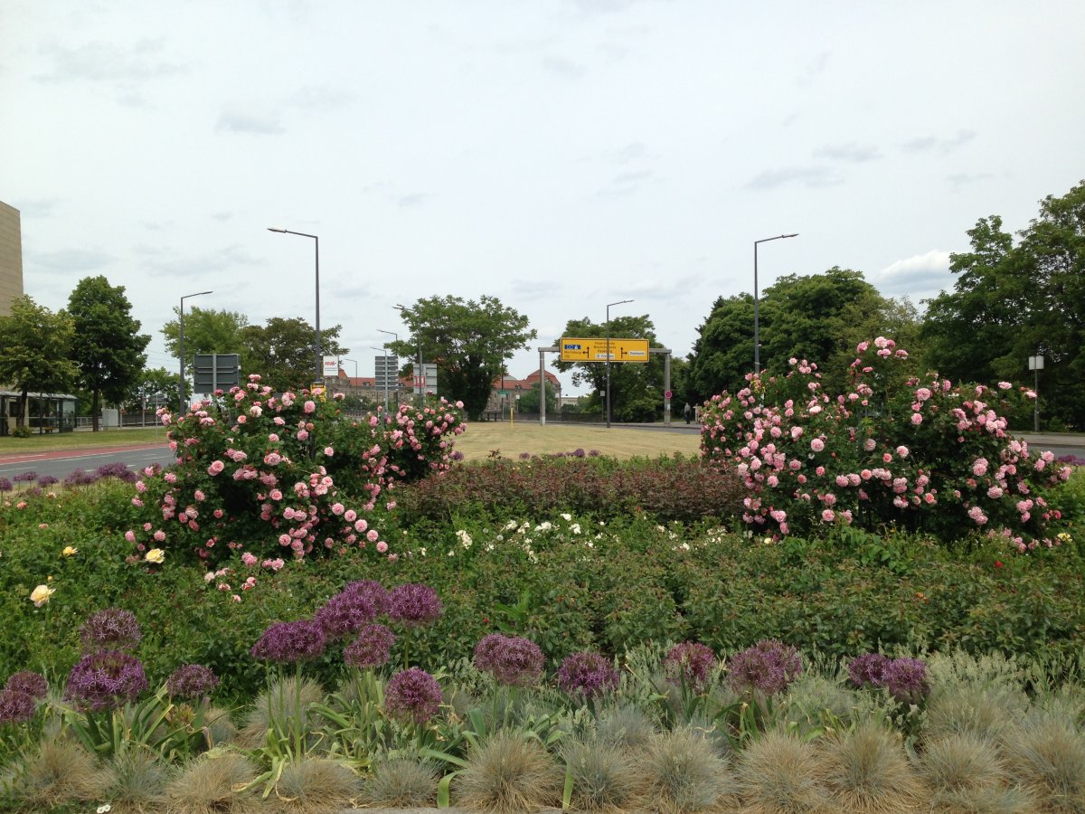 The German—British Rose Garden.