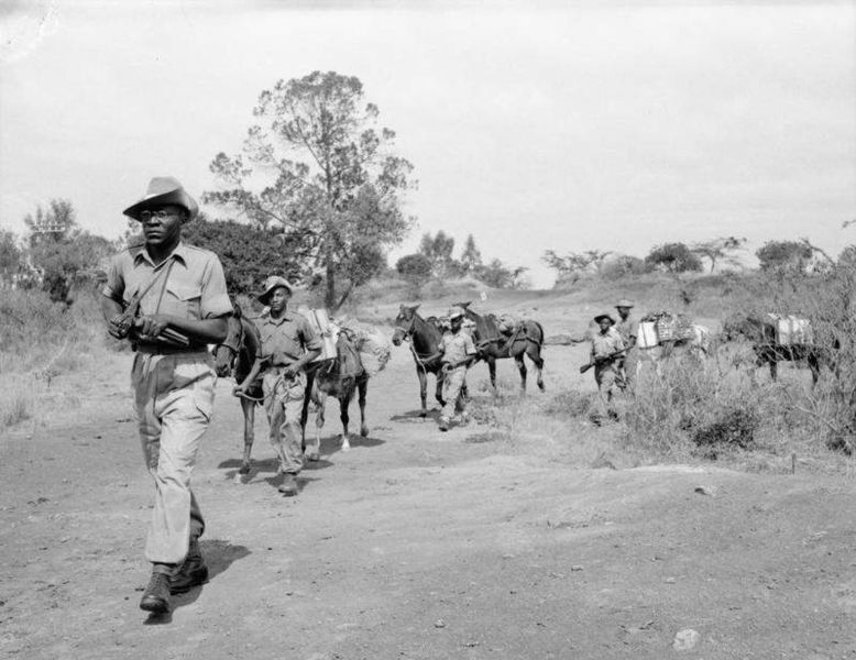 Troops of the King's African Rifles carry supplies on horseback through the Kenyan countryside.