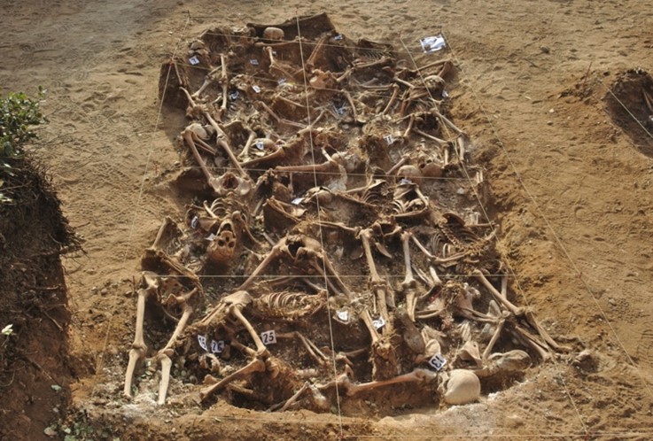 One of the mass graves discovered in an excavation from July–August of 2014 at Estépar Burgos.