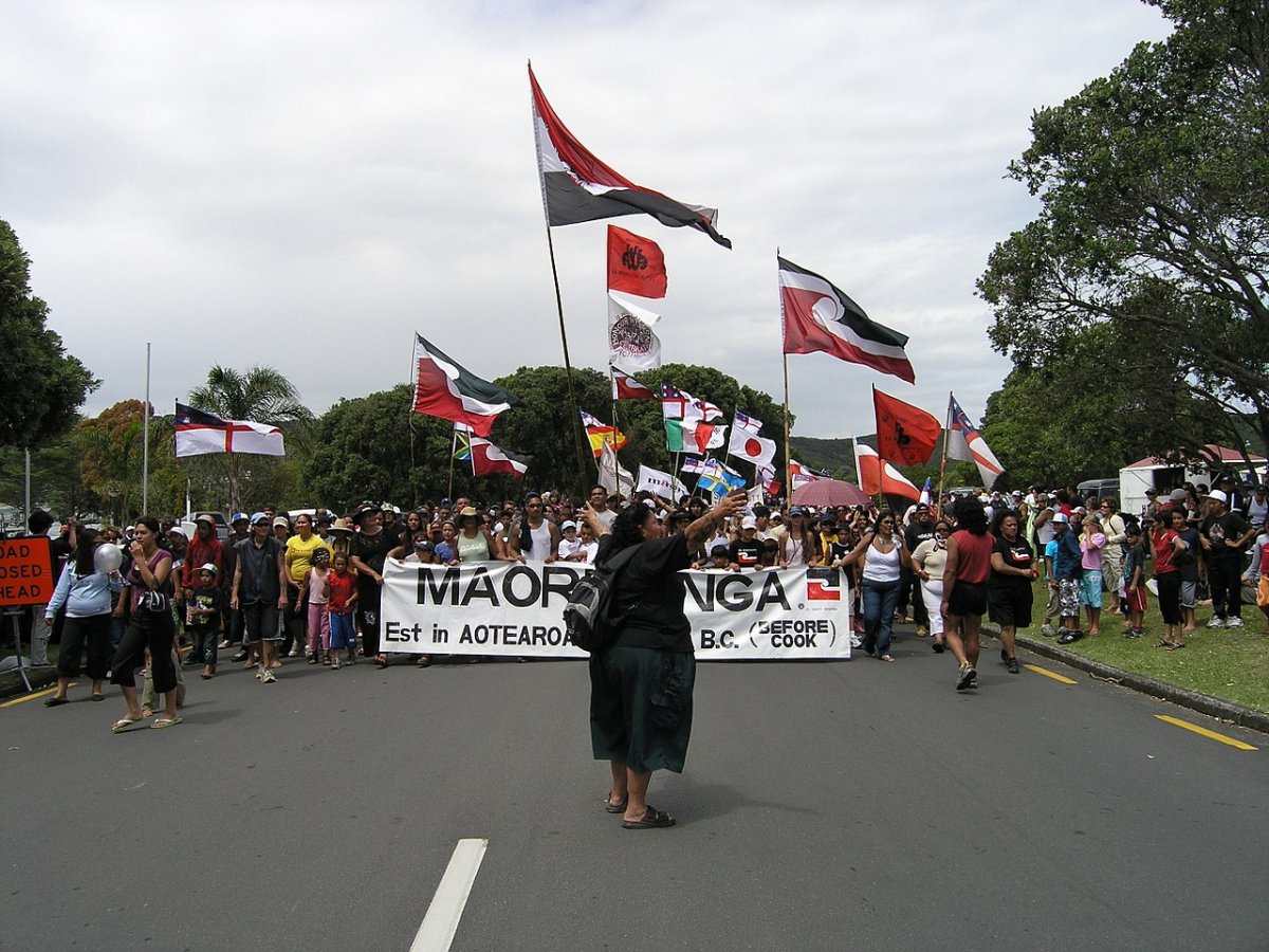 Waitangi Day protests, 2006.