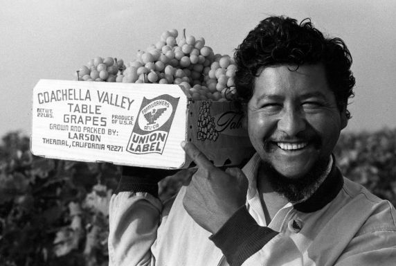 Richard Chávez, the younger brother of César Chávez, celebrating the union label on a crate of grapes.