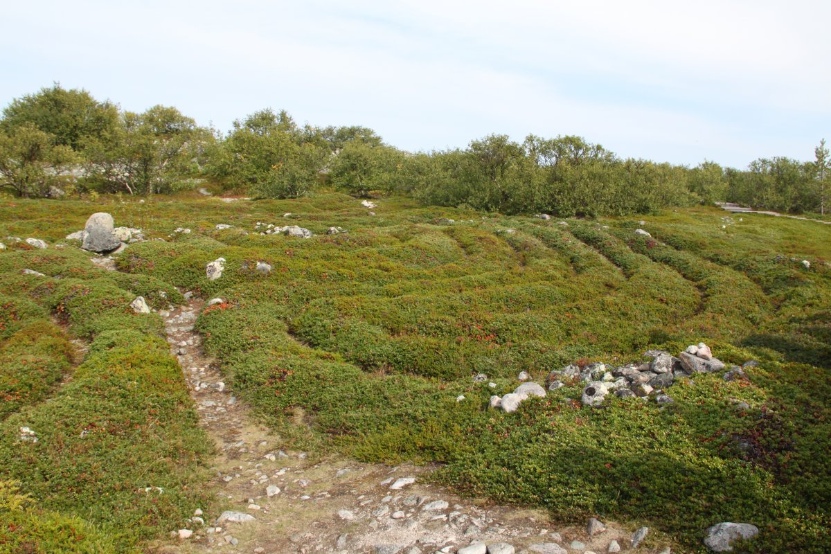 A view of the labyrinths.
