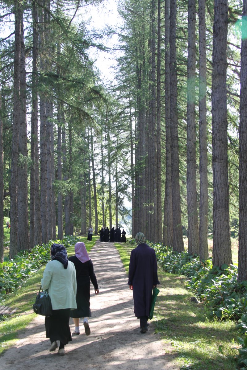 Visitors stroll in the Botanical Gardens, Solovki.