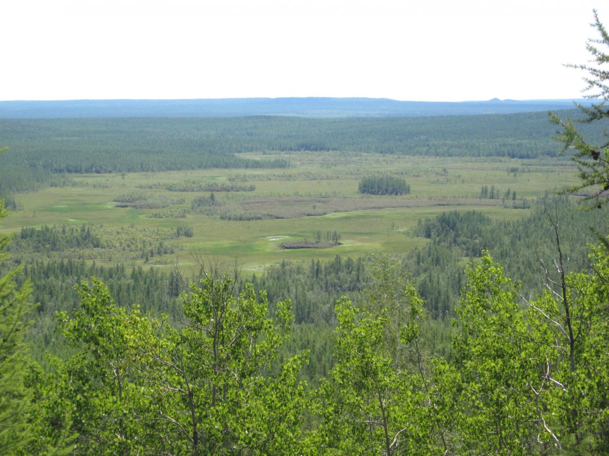 A view of the Tunguska area today.