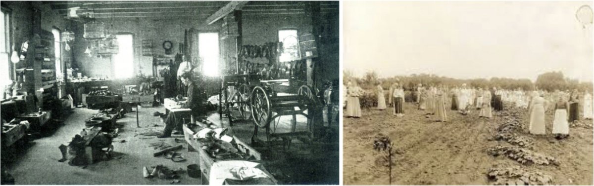 On the left, patients performed manual tasks like shoe-making at the Willard Asylum for the Insane in New York. On the right, female patients engaged in agricultural labor at a mental health facility.