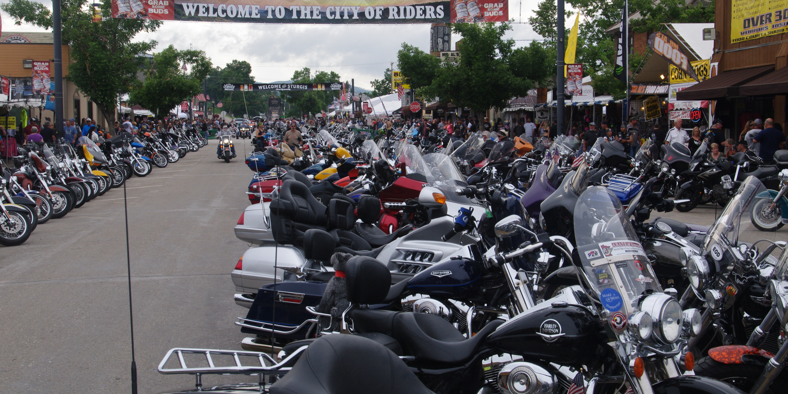 Motorcycles lined up on Main St in Sturgis, South Dakota, 2014.