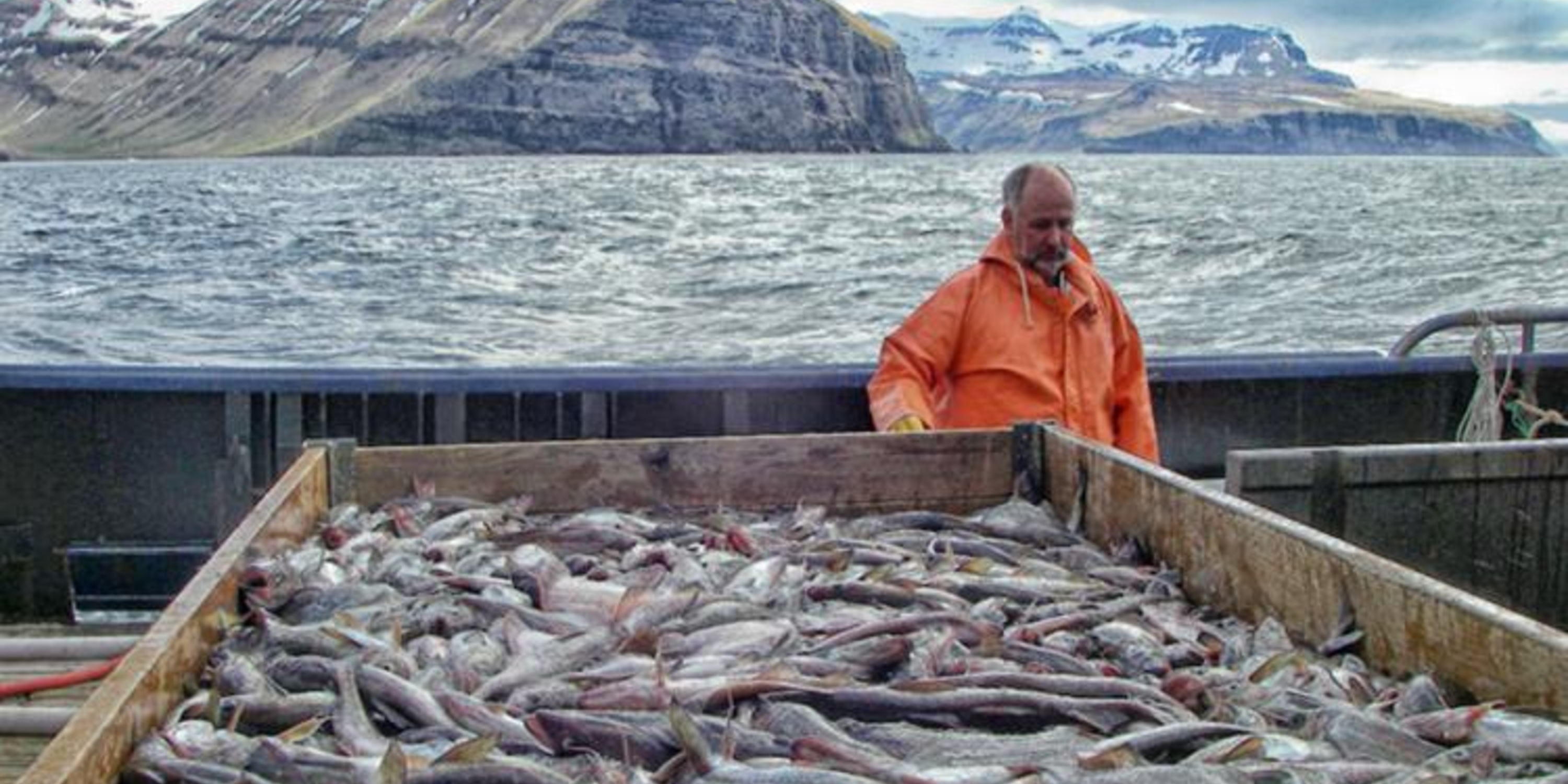 man standing my large container of fish with ocean and mountains in background