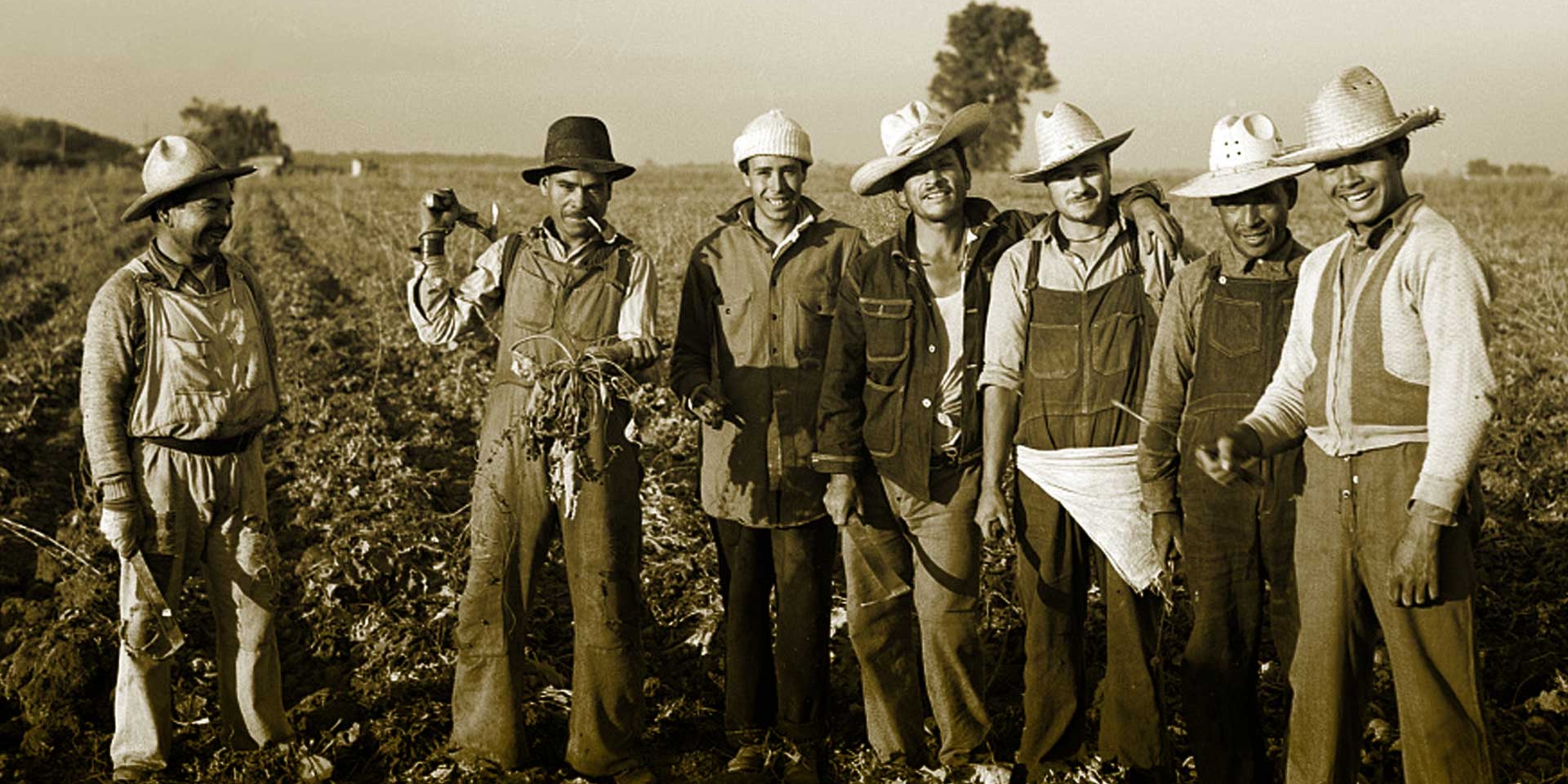a group of male Mexican immigrants standing in a field