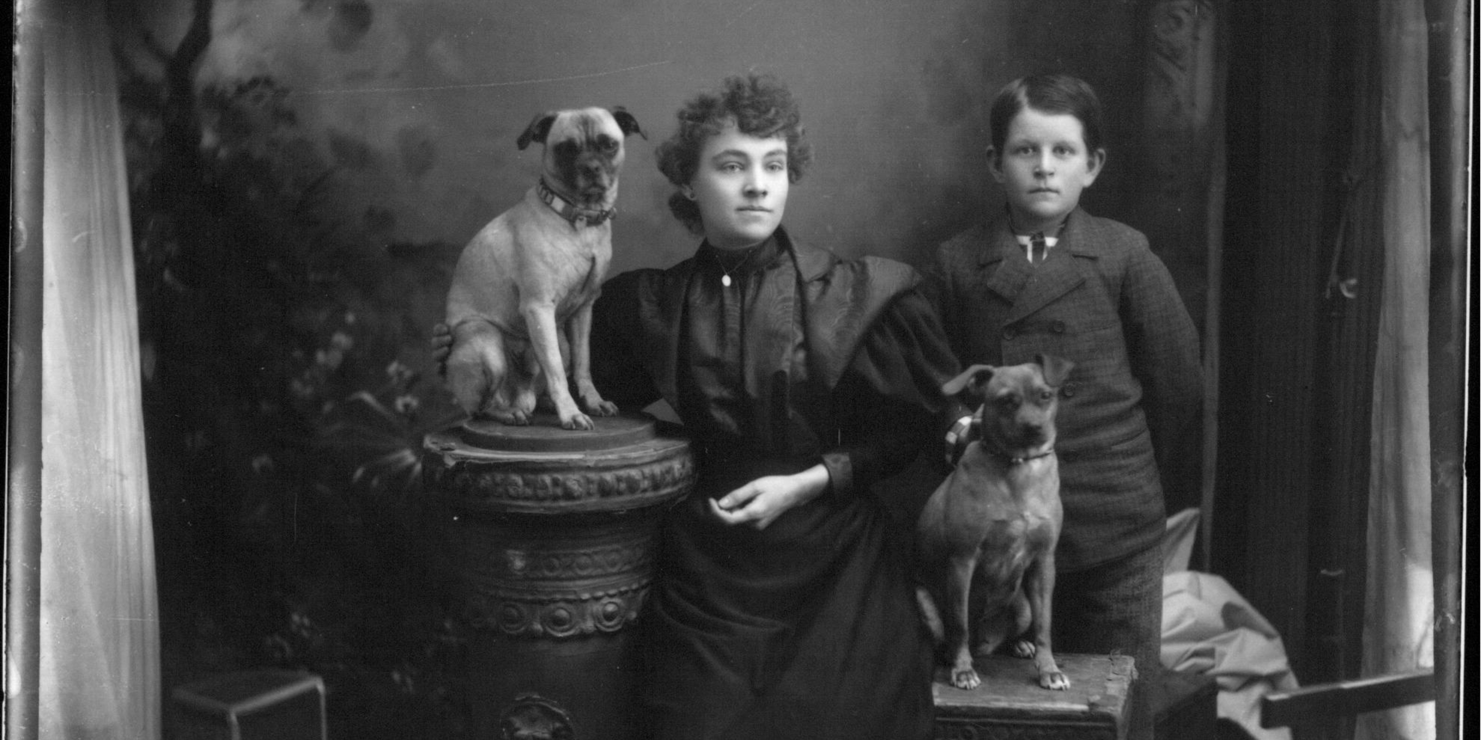 Portrait photograph of woman, boy and two dogs, ca. 1890s. 