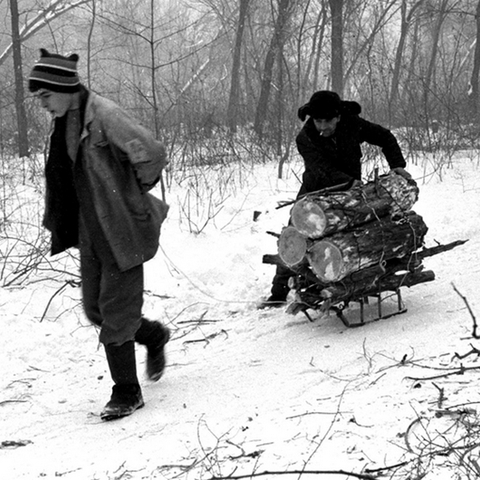 A boy and his father bringing home firewood during the energy crisis of the 1990s.