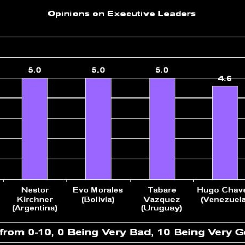 Opinions of Executive Leaders