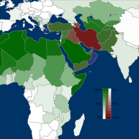 The Percentage of Muslims by Type and Country