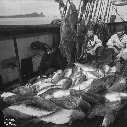 Commercial Fishing in Alaska in the 1920s